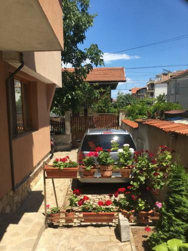 Hostal Chervenkov Guest House