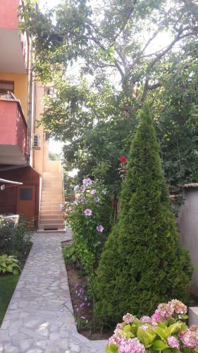 Hostal Chervenkov Guest House