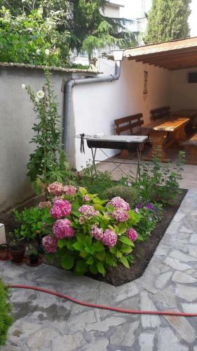 Hostal Chervenkov Guest House