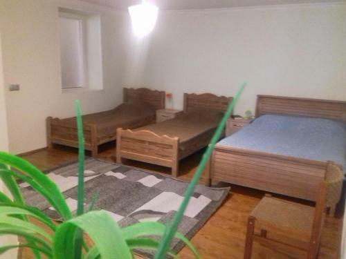 Hostal Zviad1