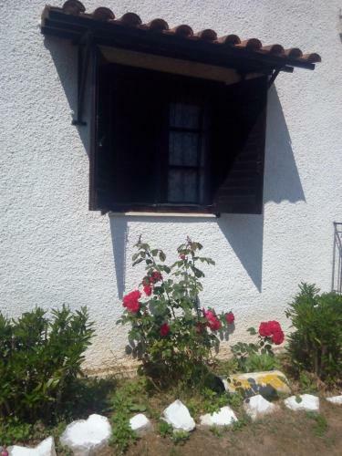 Apartamento Theoxenia