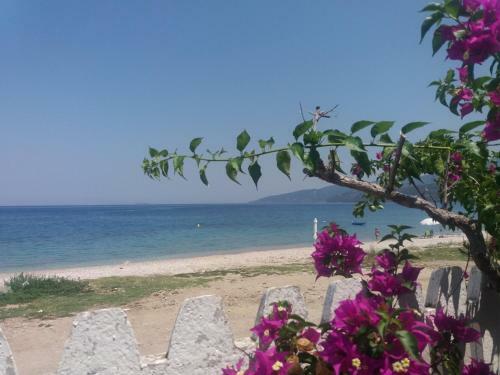 Per Mare
