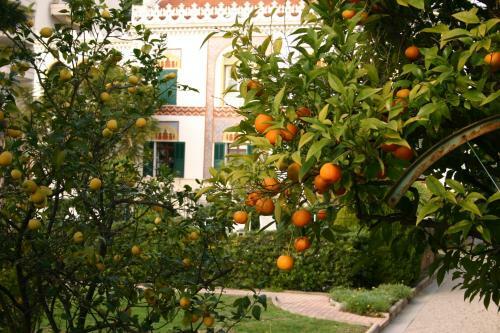 Hostal Villa Belle Rive