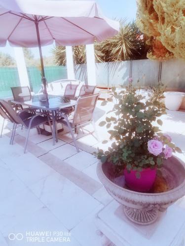 Villa Marathonion Boutique 55m2 Suite & Pool
