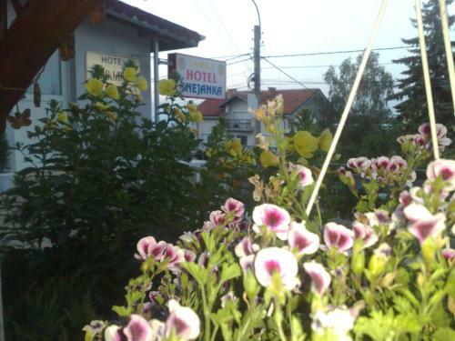 Snejanka Family Hotel