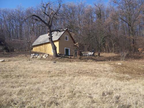Cottage By The Woods