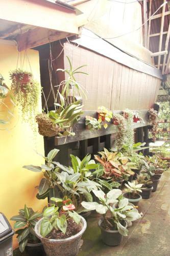 Hostal Romlan