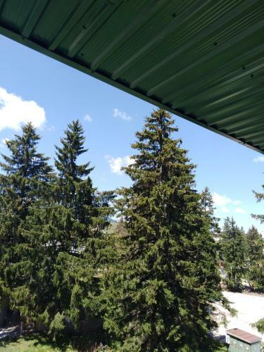 Apartmani Durmitor