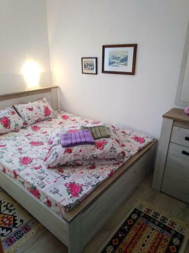 Apartmani Durmitor