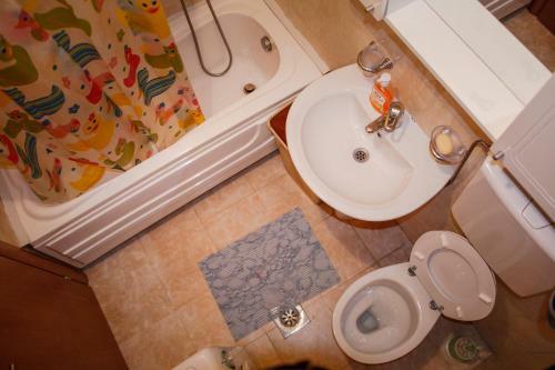 Apartment Flat