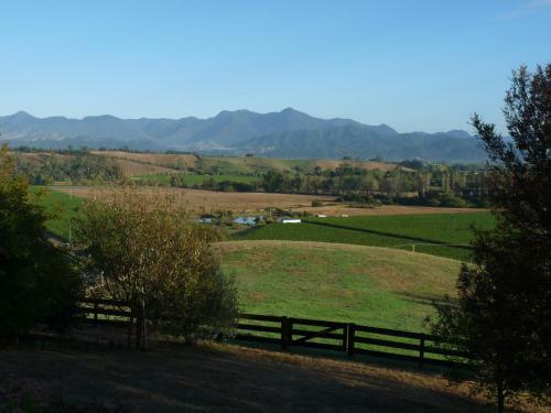 Bed & Breakfast Omaka Heights Countrystay