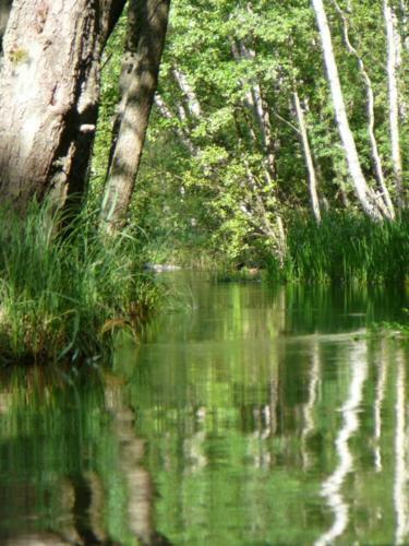 Hotel Natur Sport
