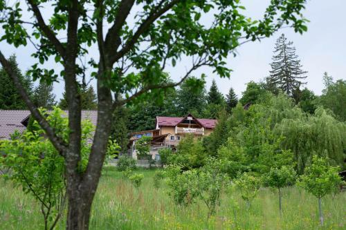 Lodge Pensiunea Casa Dana