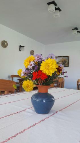 Agroturismo Pensiunea Poienita