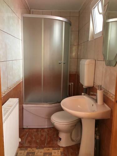 Hostal Pensiunea Alina