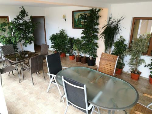 Hostal Pensiunea Remus