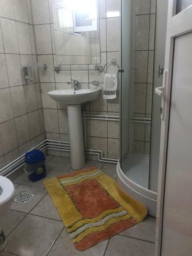 Hostal Pensiunea Sasu