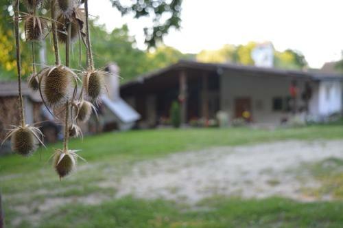 Hostal Pensiunea Morariu