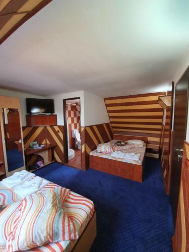 Hostal Cabana Brandusa