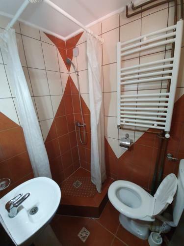 Hostal Cabana Brandusa