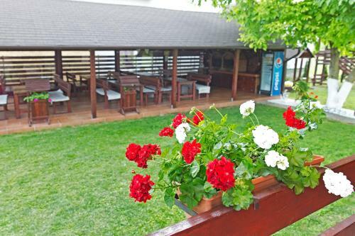 Hostal Pensiunea Regal