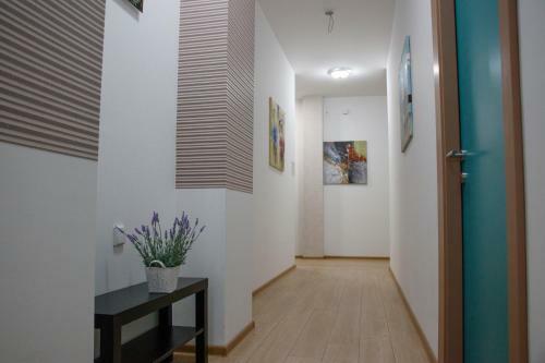 Hostal Guesthouse Night&day