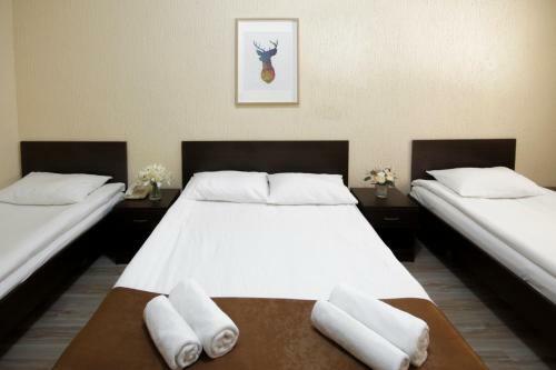 Hostal Guesthouse Junior