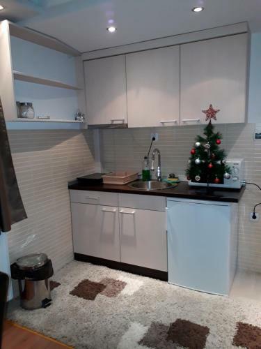 Apartments Panovic