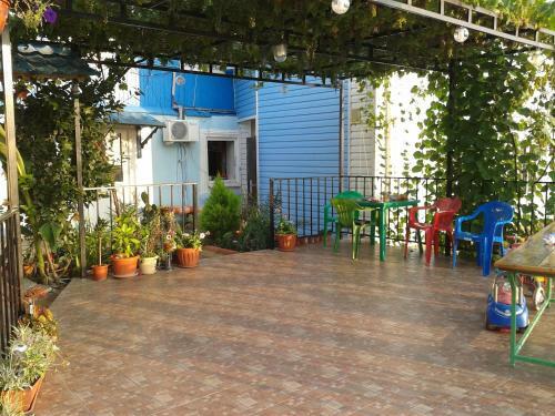 Hotel Orchidea Guest House