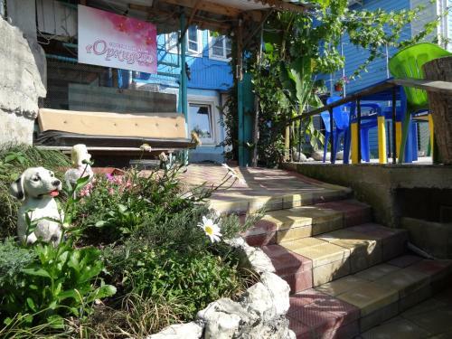 Hotel Orchidea Guest House