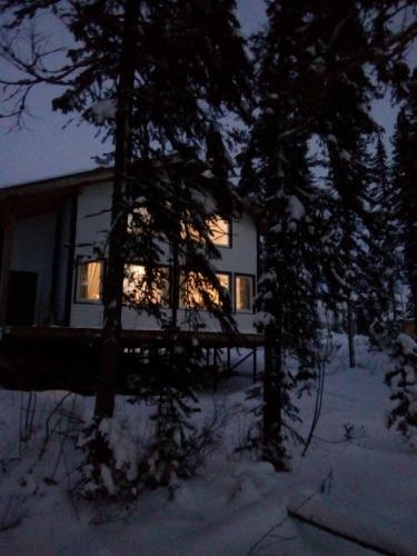 Forest House