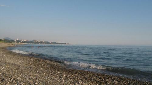 Hostal Guest House U Svetlany
