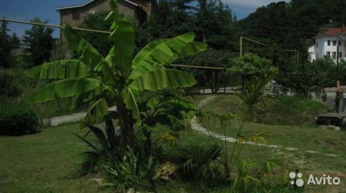Hostal Guest House U Svetlany