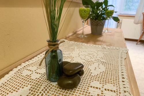 Hostal Guesthouse Draga