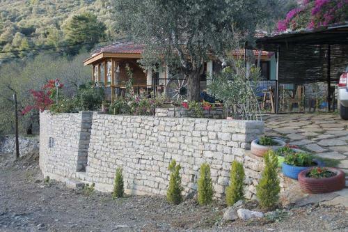 Begonvilla