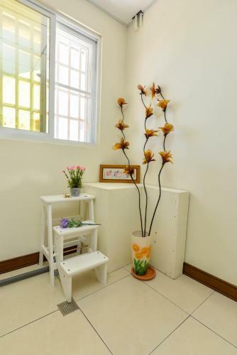 Lu Lu Bao Wenxin Homestay