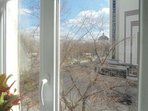 Apartments In Lviv Center