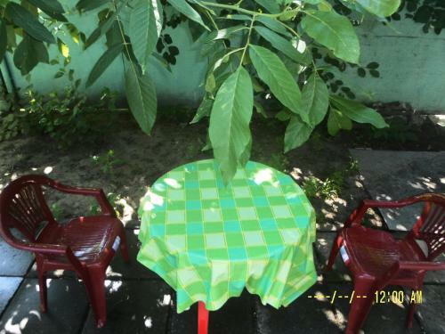 Authentic Odessa Dacha