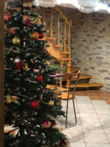 Hostal Karpatska Mria