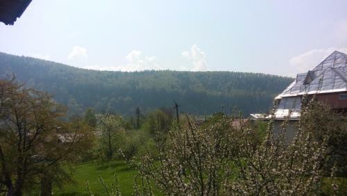 Hostal Sadyba Markevychiv
