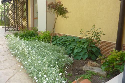 Apartamentos Siana 3 Suits