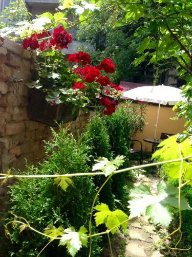 Hostal Guest Rooms Boutique Varna