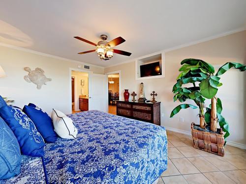 Apartamento 4400 Gulf Blvd Condo Unit 106