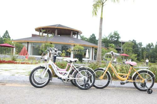 Hotel Paradise Dai Lai Resort