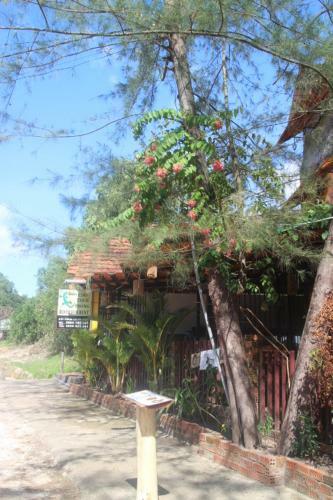Bed & Breakfast Gecko Guest House