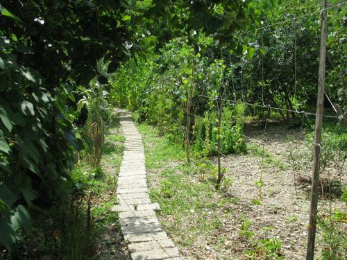Hostal Guest House On Nazadze 41a