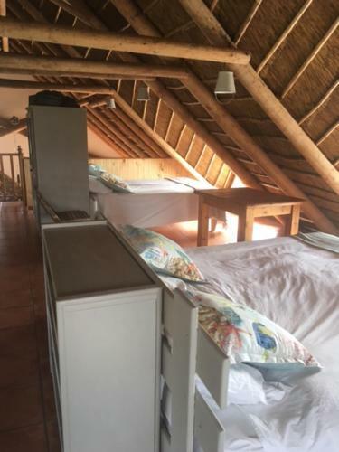 Eco Friendly Beachhouse