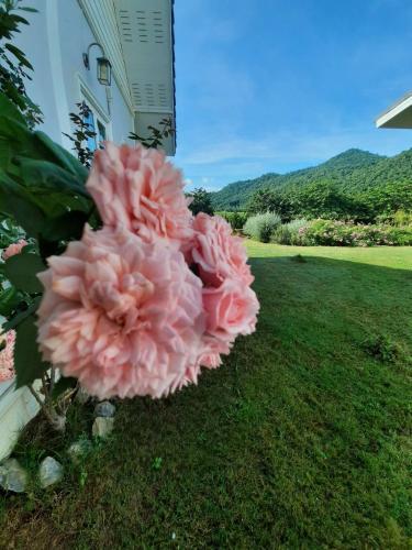 Bed & Breakfast Baan Klangkhao Mountain View At Khaoyai
