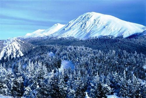 Motel Ilgaz Derbent Hotel