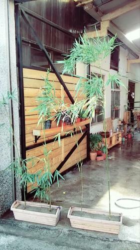 Chen The House